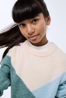 Pull colorblock contenant de la laine - Monoprix Rueil Malmaison à Rueil-Malmaison Pull colorblock contenant de la laine en promo chez Monoprix Rueil Malmaison Rueil-Malmaison à 32,99 €