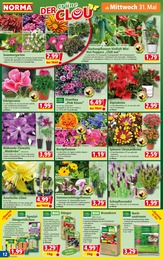 Rasendünger Angebot & Preis im aktuellen Norma Prospekt Rasendünger Angebot im aktuellen Norma Prospekt auf Seite 12