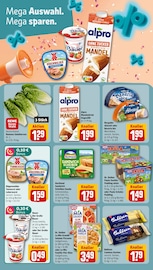 Salat im REWE Prospekt in Pforzheim Aktueller REWE Prospekt mit Salat, "Dein Markt", Seite 6