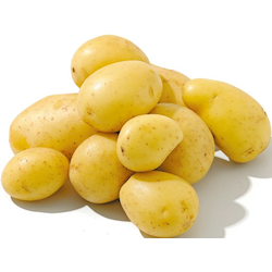 Speisefrühkartoffeln