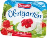Obstgarten Angebote von Ehrmann bei Netto Marken-Discount Hagen für 0,44 €