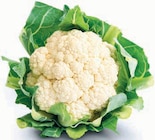 Blumenkohl Angebote bei Markant Nordwest Osnabrück für 1,69 €