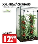 XXL-GEWÄCHSHAUS im Angebot bei Wreesmann in Stade XXL-GEWÄCHSHAUS Angebote von Top Flora bei Wreesmann Stade für 12,99 €