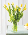 Bouquet de 10 tulipes de glace - Super U à Valence Bouquet de 10 tulipes de glace en promo chez Super U Valence à 5,99 €