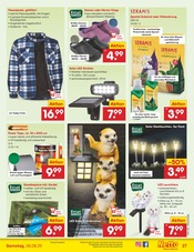 LED-Lampe im Netto Marken-Discount Prospekt in Pforzheim Aktueller Netto Marken-Discount Prospekt mit LED-Lampe, "Aktuelle Angebote", Seite 37