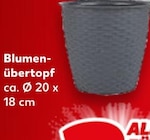 Kaufland Weimar - Blumenübertopf Angebot im Prospekt Blumenübertopf bei Kaufland im Weimar Prospekt für 2,00 €