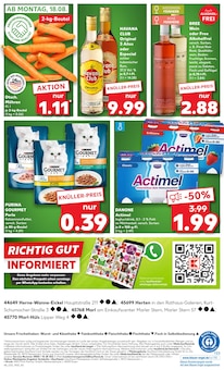 Katzenfutter im Kaufland Prospekt "KNÜLLER" mit 56 Seiten (Herne)