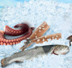 Matjes bei Netto Marken-Discount im Prospekt "" für 2,29 €