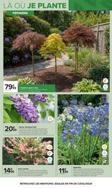 Promos Crevettes dans le catalogue "JARDIN, LÀ OÙ LA VIE SE CULTIVE" de Carrefour Crevettes en promo dans le catalogue Carrefour à la page 7