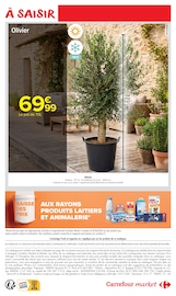 Plantes en promo dans le catalogue Carrefour Market à la page 2