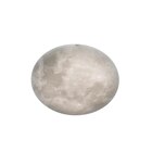 LED-DECKENLEUCHTE Lunar 60/12 cm im Angebot bei XXXLutz in Gelsenkirchen LED-DECKENLEUCHTE Lunar 60/12 cm Angebote von Trio Leuchten bei XXXLutz Gelsenkirchen für 89,99 €