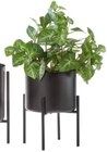 Pflanztopf im Angebot bei XXXLutz Möbelhäuser in Bornheim Pflanztopf Angebote von Ambia Home bei XXXLutz Möbelhäuser Bornheim für 9,99 €
