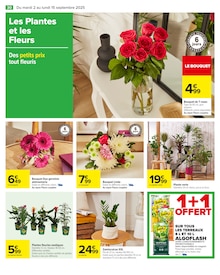 Promo Kiwi dans le catalogue Carrefour du moment à la page 32