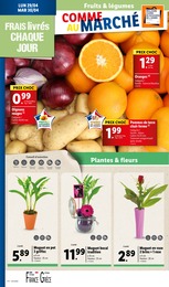 Offre Vase dans le catalogue Lidl du moment à la page 30