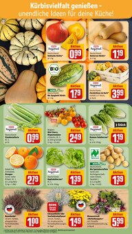 Chrysantheme im REWE Prospekt "Dein Markt" mit 16 Seiten (Köln)