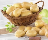 Pomme de terre de consommation nouvelle récolte - U Express à Brest Pomme de terre de consommation nouvelle récolte en promo chez U Express Brest à 2,99 €
