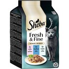 Aktuelles SHEBA® Fresh & Fine Multipack Portionsbeutel Lachs, Thunfisch & Forelle in Sauce MSC 6x50g 1 Stück Angebot bei Zookauf in Remscheid ab 2,49 €