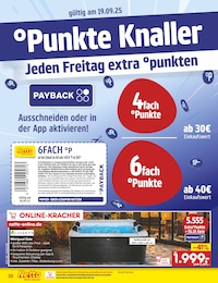 Planschbecken Angebot im aktuellen Netto Marken-Discount Prospekt auf Seite 42