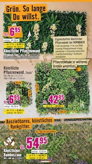 Pflanzen im Hornbach Prospekt "Den besten Preis kann nur anbieten, wer ihn wirklich hat." mit 32 Seiten (Hagen (Stadt der FernUniversität))