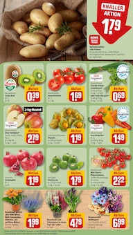 Granatapfel im aktuellen REWE Prospekt (Nürnberg) Granatapfel im REWE Prospekt "Dein Markt" mit 20 Seiten (Nürnberg)