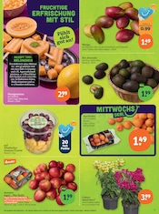 Mango im tegut Prospekt in Jena Aktueller tegut Prospekt mit Mango, "tegut… gute Lebensmittel", Seite 5