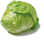 Eisbergsalat von GO Regio für 0,69 € bei Netto mit dem Scottie im Angebot Eisbergsalat von GO Regio im aktuellen Netto mit dem Scottie Prospekt