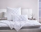 Aktuelle Kopfkissen Angebote bei XXXLutz Möbelhäuser in Hannover Aktuelles GANZJAHRESBETT Angebot bei XXXLutz Möbelhäuser in Hannover ab 59,99 €