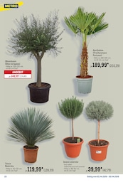 METRO Lavendel im Prospekt METRO Lavendel im Prospekt