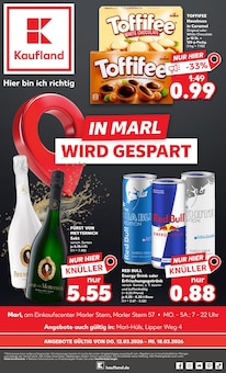 Red Bull im Kaufland Prospekt "Hier bin ich richtig" mit 74 Seiten (Marl)