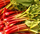 Rhabarber 'Victoria' Angebote bei Hagebaumarkt Oberhausen für 7,99 €