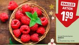 Aktuelle Obst Angebote bei REWE in Leipzig Aktuelles Himbeeren Angebot bei REWE in Leipzig ab 1,99 €
