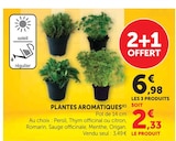 Plantes aromatiques en promo chez Super U Noisy-le-Grand à 6,98 €