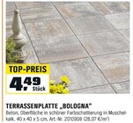 TERRASSENPLATTE "BOLOGNA" im Angebot bei OBI in Mühlhausen TERRASSENPLATTE "BOLOGNA" Angebote bei OBI Mühlhausen für 4,49 €