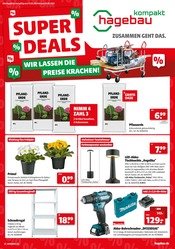 Aktueller hagebau kompakt Baumarkt Prospekt in Wallenhorst und Umgebung, "SUPER DEALS" mit 8 Seiten, 04.01.2025 - 11.01.2025