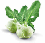 Kohlrabi Angebote bei Netto Marken-Discount Garbsen für 0,69 €