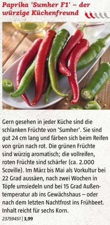 Paprika 'Sumher F1' bei BAUHAUS in Bottrop Paprika 'Sumher F1' im Angebot bei BAUHAUS Bottrop für 3,99 €