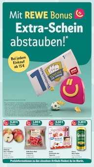Radler im aktuellen REWE Prospekt (Reutlingen) Radler im REWE Prospekt "Dein Markt" mit 32 Seiten (Reutlingen)