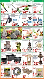 Aktueller Wreesmann Prospekt mit Frosch, "DEIN SAISON- & SONDERPOSTENMARKT!", Seite 11