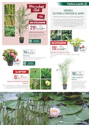 Bambou Angebote im Prospekt "LES 30 PRINTEMPS botanic" von Botanic auf Seite 5