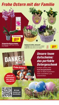 Blumentopf im aktuellen toom Baumarkt Prospekt (Essen) Blumentopf im toom Baumarkt Prospekt "Respekt, wer's selber macht." mit 30 Seiten (Essen)