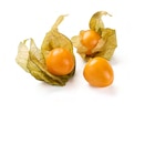 Physalis im Lidl Prospekt Physalis im aktuellen Lidl Prospekt für 1,49 €
