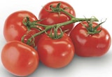 Strauchtomaten bei combi im Glandorf Prospekt für 2,22 €