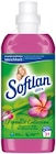 Ultra Weichspüler im Angebot bei Netto mit dem Scottie in Norderstedt Ultra Weichspüler Angebote von Softlan bei Netto mit dem Scottie Norderstedt für 1,49 €