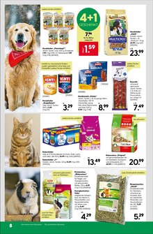 Katzenstreu im aktuellen BayWa Bau- und Gartenmärkte Prospekt (Würzburg) Katzenstreu im BayWa Bau- und Gartenmärkte Prospekt "Robust und vielseitig" mit 16 Seiten (Würzburg)