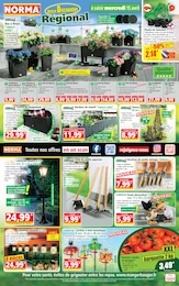 Prospectus Norma à Benfeld, "Votre Discounter Régional", 14 pages, 08/04/2026 - 15/04/2026