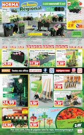 Prospectus Discount Alimentaire Norma en cours à Audun-le-Tiche et alentours, "Votre Discounter Régional", 14 pages, 08/04/2026 - 15/04/2026 Catalogue Discount Alimentaire Norma en cours à Audun-le-Tiche et alentours, "Votre Discounter Régional", 14 pages, 08/04/2026 - 15/04/2026