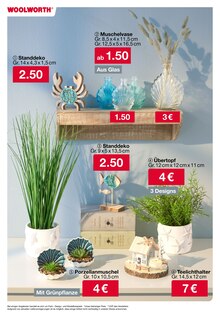 Blumentopf im Woolworth Prospekt "Aktuelle Angebote" mit 48 Seiten (Kassel)