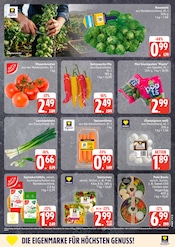 Pute im EDEKA Prospekt in Wismar Aktueller EDEKA Prospekt mit Pute, "Top Angebote", Seite 5