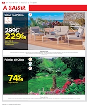 Palmier en promo dans le catalogue Carrefour Market à la page 40