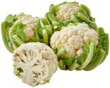 - en promo chez Netto - dans le catalogue Netto